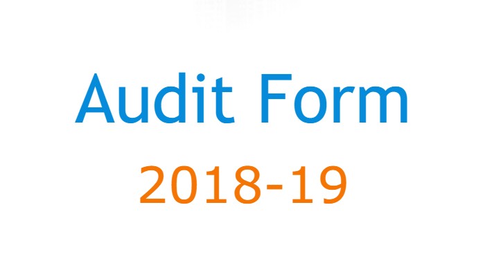 Audit Form-2019