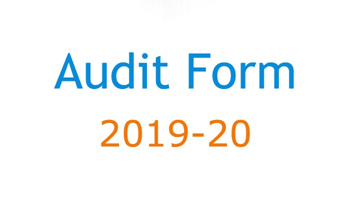 Audit Form-2019